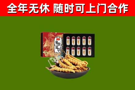 泰来县烟酒回收冬虫夏草礼盒.jpg