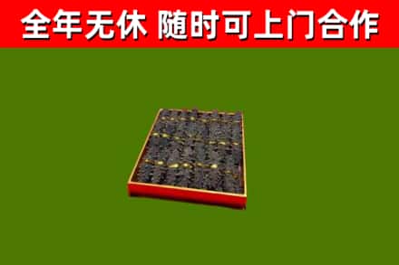 泰来县烟酒回收海参.jpg